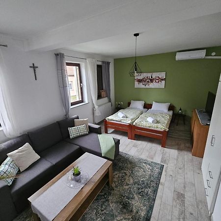 Studio Apartman Dora Ilok Bagian luar foto