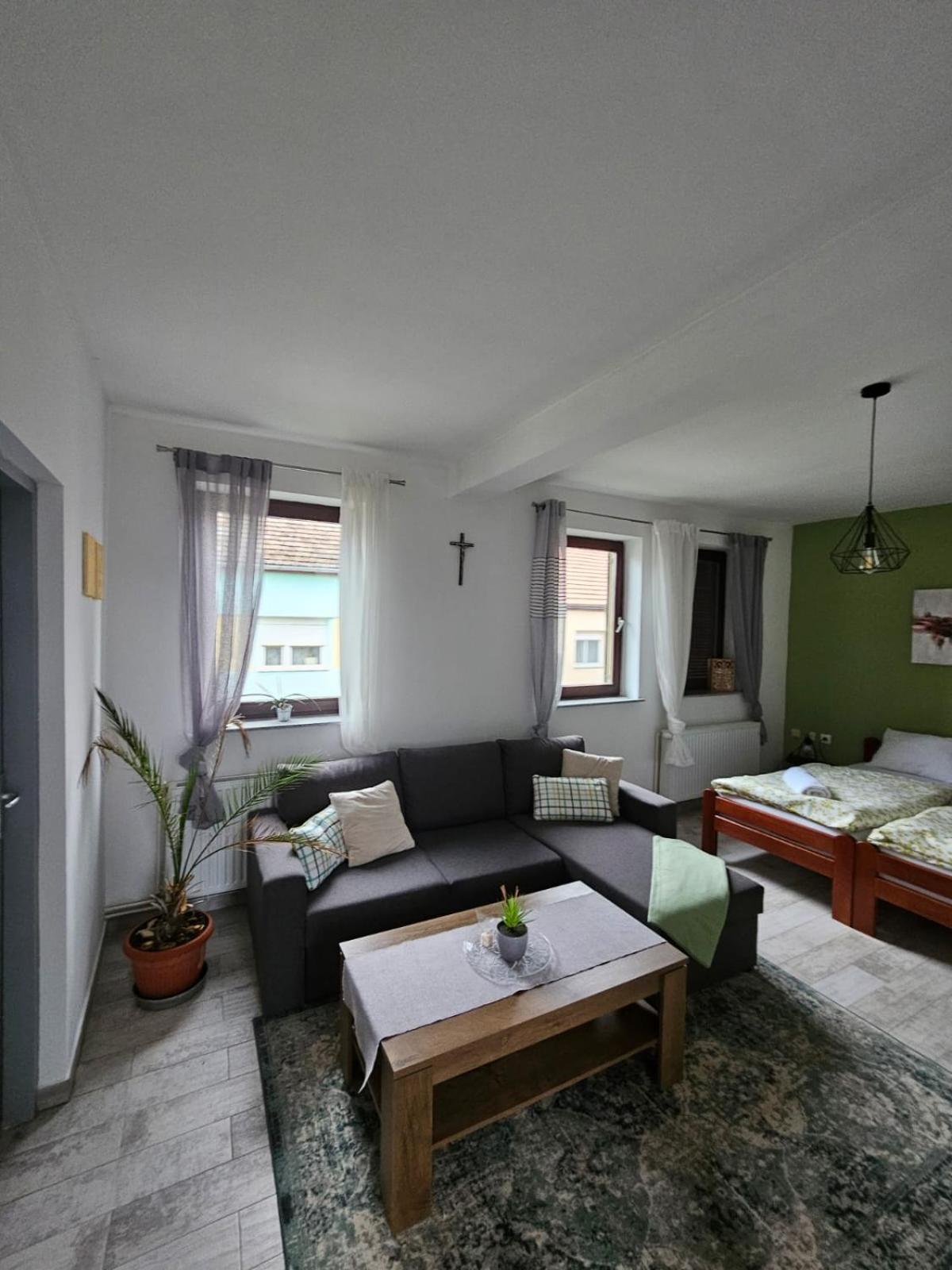 Studio Apartman Dora Ilok Bagian luar foto