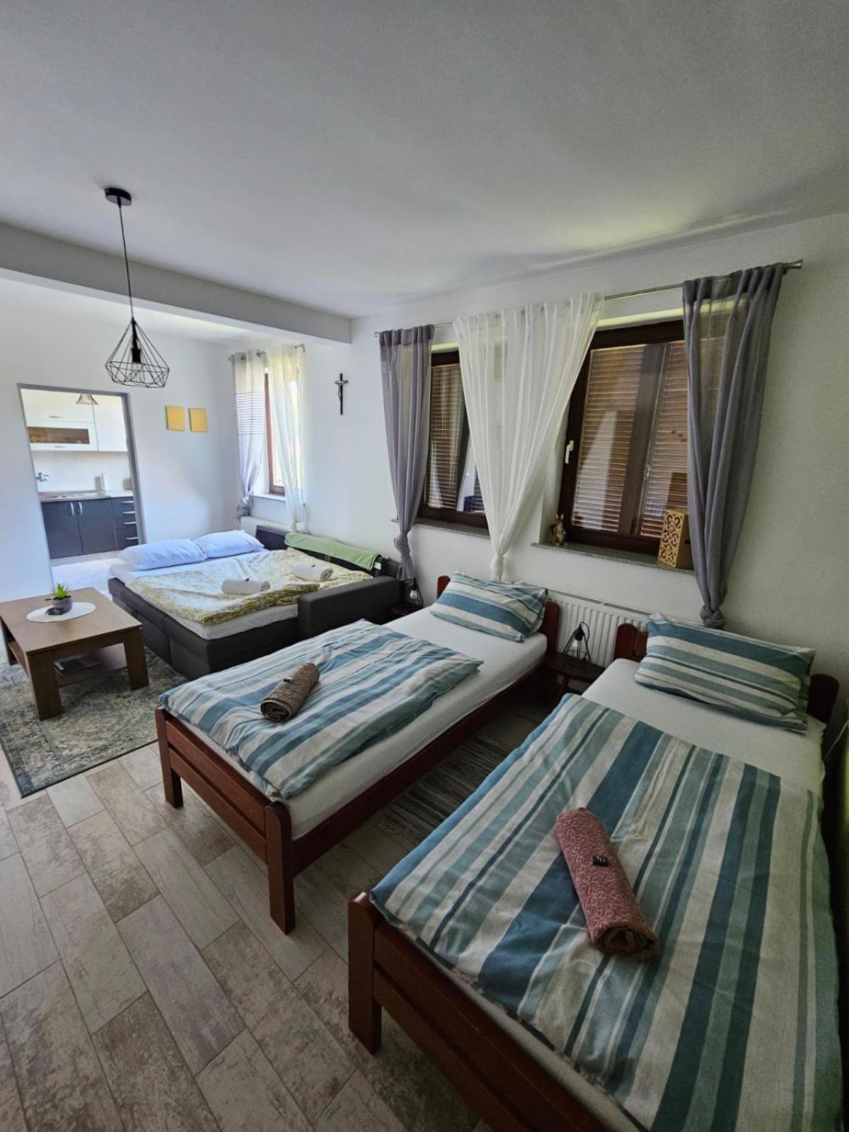Studio Apartman Dora Ilok Bagian luar foto